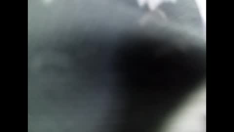 Snapshot of jaimescook chatting on February 16, 2025, 3:38 pm james online show from February 16, 2025, 3:38 pm