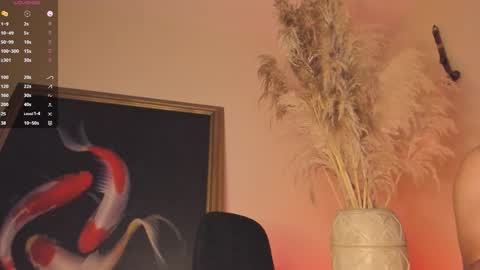 Snapshot of james_carter7 chatting on December 20, 2025, 2:29 am Juan online show from December 20, 2025, 2:29 am