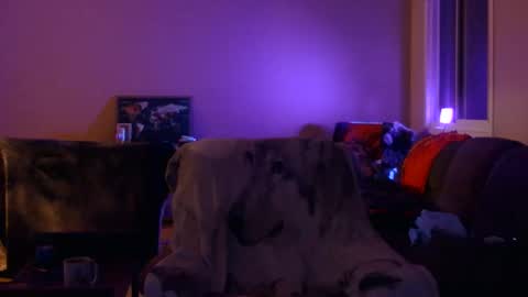 Snapshot of jameswolf777 chatting on December 19, 2025, 11:17 am jameswolf777 online show from December 19, 2025, 11:17 am