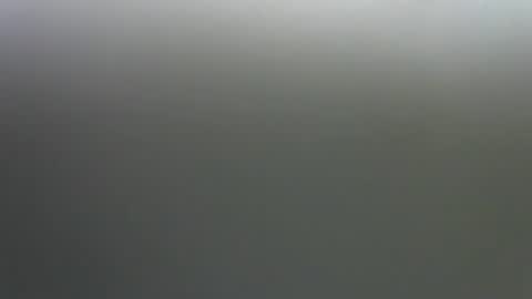 Jane online show from November 14, 2025, 11:24 pm