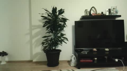 jaqueline88 online show from November 29, 2025, 4:37 am