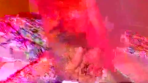 jardinflowers online show from November 6, 2025, 3:18 am