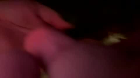 Jaws  online show from February 21, 2026, 7:09 am