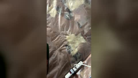 jaxsona online show from April 18, 2026, 8:18 am