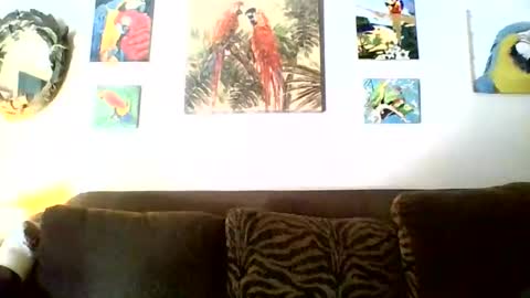 jay-jay1475 online show from November 17, 2025, 6:46 pm