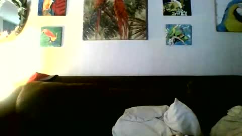 Snapshot of jay_jay1475 chatting on May 7, 2026, 5:40 pm jay-jay1475 online show from May 7, 2026, 5:40 pm