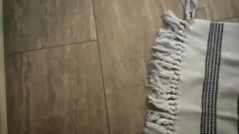 jbigblue online show from January 11, 2026, 1:49 pm