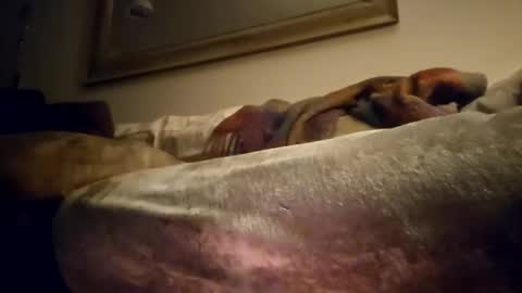 Snapshot of jcramirez1975 chatting on December 21, 2024, 3:03 am Jcramirez1975s online show from December 21, 2024, 3:03 am