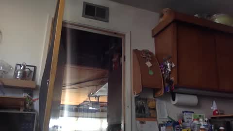 Snapshot of jdubba420 chatting on October 27, 2025, 11:09 pm jdubba420 online show from October 27, 2025, 11:09 pm