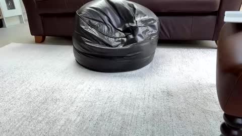 Snapshot of jeeves200 chatting on February 25, 2025, 3:16 pm Sensual Jeeves online show from February 25, 2025, 3:16 pm