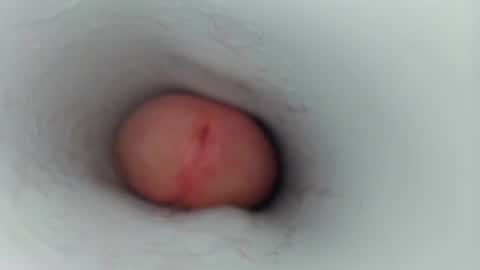 jeffrodgerschaturbat online show from January 17, 2026, 7:46 am