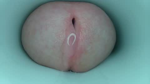 jeffrodgerschaturbat online show from March 11, 2026, 3:56 am