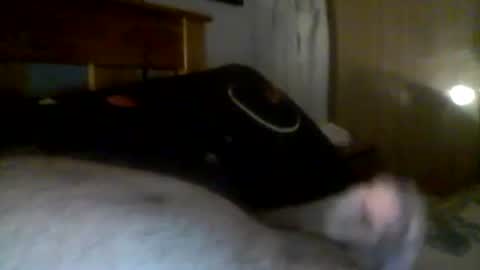 jerkmate6666 online show from December 21, 2024, 6:19 am