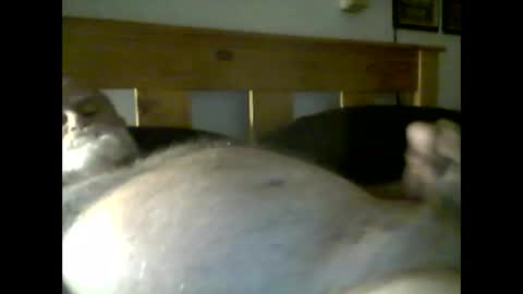 Snapshot of jerkmate6666 chatting on May 9, 2026, 3:56 am jerkmate6666 online show from May 9, 2026, 3:56 am