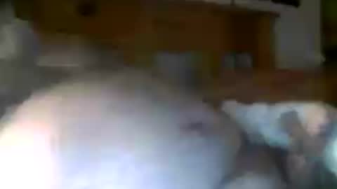Snapshot of jerkmate6666 chatting on July 15, 2026, 8:52 am jerkmate6666 online show from July 15, 2026, 8:52 am