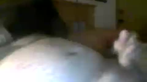 Snapshot of jerkmate6666 chatting on July 20, 2026, 6:28 am jerkmate6666 online show from July 20, 2026, 6:28 am