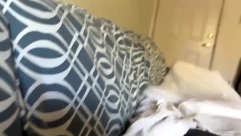 Snapshot of jerkstar16 chatting on December 5, 2024, 6:00 pm Jerkstar16 online show from December 5, 2024, 6:00 pm