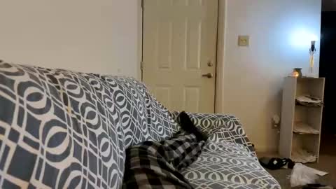 Snapshot of jerkstar16 chatting on February 18, 2025, 5:20 am Jerkstar16 online show from February 18, 2025, 5:20 am