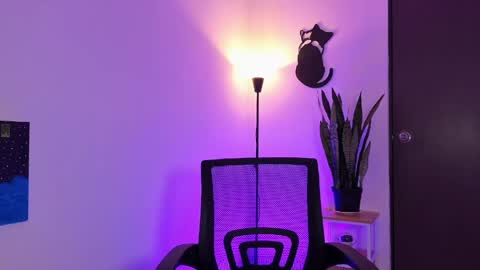 Jero Harper online show from April 12, 2026, 7:41 pm