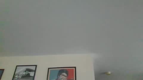 Snapshot of jerseyhammer01 chatting on December 28, 2024, 9:31 am Harry online show from December 28, 2024, 9:31 am