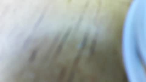 Snapshot of jessiehammerdik chatting on February 6, 2025, 5:57 am Dixon Cider online show from February 6, 2025, 5:57 am