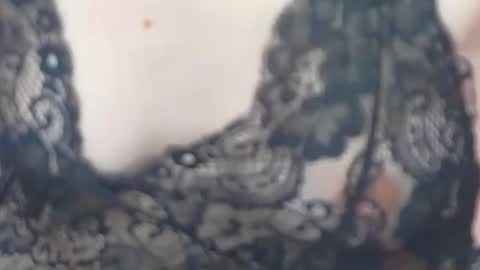 JessieStarrr online show from February 17, 2026, 5:41 pm