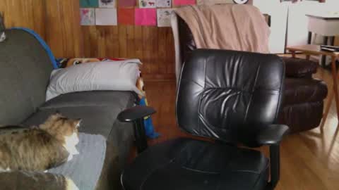 Snapshot of jettadude5 chatting on January 25, 2025, 6:02 pm jettadude5 online show from January 25, 2025, 6:02 pm