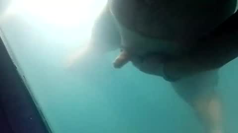 Uncut thick 5 online show from March 20, 2026, 11:59 am