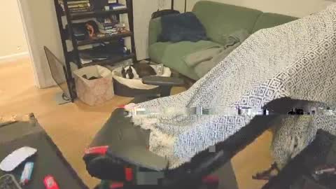 jimmygotya online show from April 13, 2026, 2:00 pm