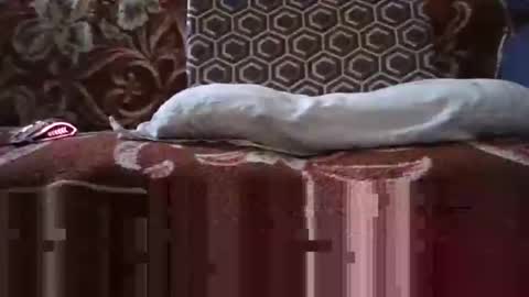 Snapshot of jimmyshelby12 chatting on January 25, 2025, 6:34 am jimmyshelby12 online show from January 25, 2025, 6:34 am