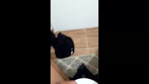 Snapshot of jixldfseepsv chatting on January 17, 2026, 12:21 pm jixldfseepsv online show from January 17, 2026, 12:21 pm