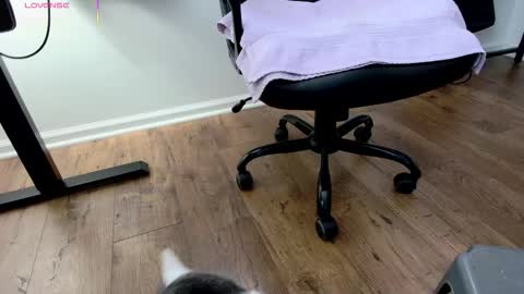 Snapshot of jjjust4fun1985 chatting on December 3, 2025, 9:02 pm Nicole Allen online show from December 3, 2025, 9:02 pm