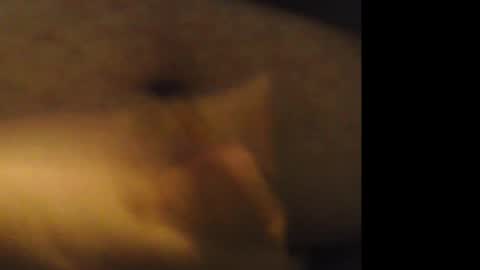 firejoepro2 online show from February 21, 2026, 6:25 am