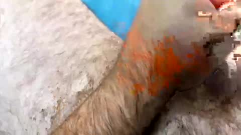 Snapshot of jkriss4545 chatting on September 27, 2025, 6:24 pm Jkriss online show from September 27, 2025, 6:24 pm