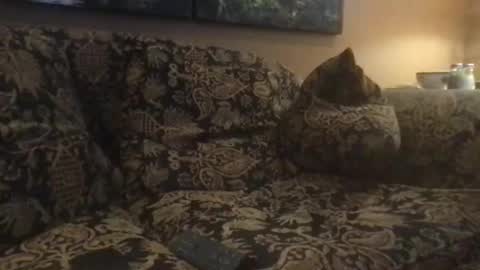 jlk7777 online show from February 25, 2025, 5:04 pm