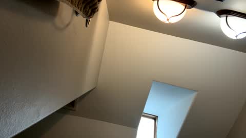 Jimmy online show from February 3, 2025, 5:14 pm