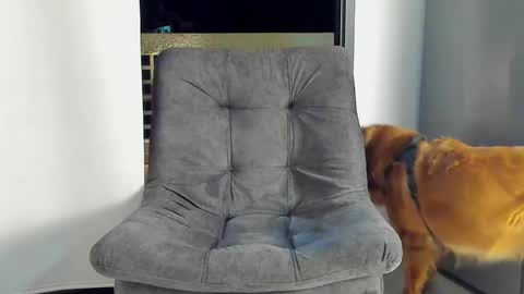 Snapshot of joan_saenz chatting on January 9, 2025, 3:47 am JOAN SAENZ online show from January 9, 2025, 3:47 am