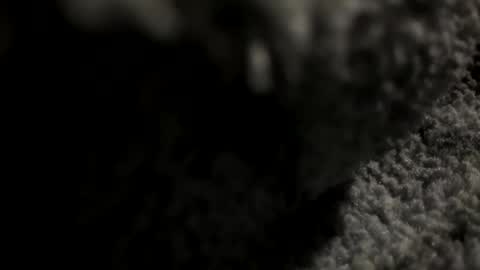 joekent795447 online show from April 20, 2026, 4:04 am