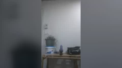 Snapshot of joeynepton45 chatting on June 23, 2026, 8:29 pm joeynepton45 online show from June 23, 2026, 8:29 pm