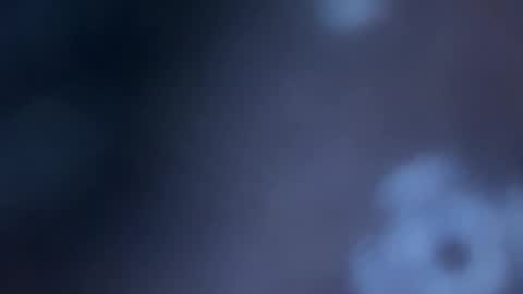 JOHN online show from November 14, 2025, 11:02 pm