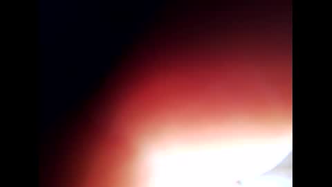 johnlong25cm online show from December 24, 2024, 9:28 am