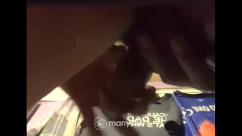 Snapshot of johnnyshung1 chatting on December 13, 2024, 7:47 am johnnyshung1 online show from December 13, 2024, 7:47 am