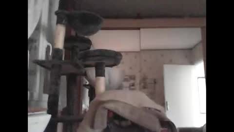 jojo60000529566 online show from March 4, 2025, 3:15 pm