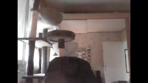 jojo60000529566 online show from September 29, 2025, 5:07 pm