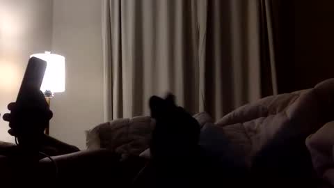 jokerwayne32 online show from April 8, 2026, 3:50 am