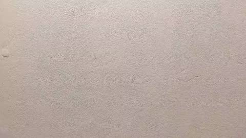 Snapshot of joseph_palacios chatting on September 13, 2025, 6:51 pm joseph palacios online show from September 13, 2025, 6:51 pm