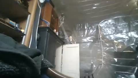 Snapshot of josephung1 chatting on November 28, 2025, 5:32 am sissy josphine online show from November 28, 2025, 5:32 am