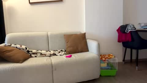 Snapshot of josh_xo chatting on November 30, 2025, 12:25 am josh_xo online show from November 30, 2025, 12:25 am