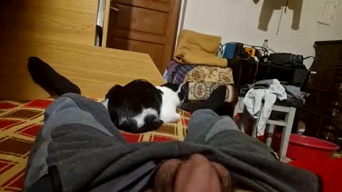 joyboy465468 online show from October 26, 2025, 4:02 pm