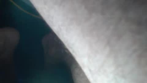 Snapshot of jsmith101410 chatting on September 23, 2025, 12:02 am FreshNess online show from September 23, 2025, 12:02 am